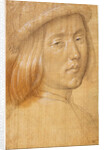 Head of a Youth by Lorenzo di Credi