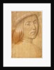 Head of a Youth by Lorenzo di Credi