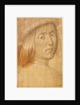 Head of a Youth by Lorenzo di Credi