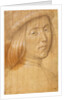 Head of a Youth by Lorenzo di Credi