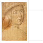 Head of a Youth by Lorenzo di Credi