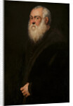 Man with a White Beard, c. 1570 by Jacopo Tintoretto