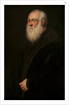 Man with a White Beard, c. 1570 by Jacopo Tintoretto