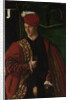 Lodovico Martinengo, 1530 by Bartolomeo Veneto
