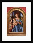 Madonna and Child by Lorenzo di Credi