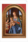 Madonna and Child by Lorenzo di Credi