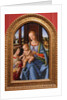 Madonna and Child by Lorenzo di Credi