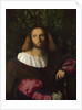 Portrait of a Poet (Ludovico Ariosto), c. 1516 by Jacopo Palma il Vecchio the Elder