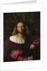 Portrait of a Poet (Ludovico Ariosto), c. 1516 by Jacopo Palma il Vecchio the Elder