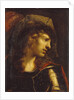 Head of the young warrior by Pietro della Vecchia