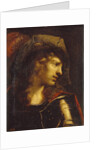 Head of the young warrior by Pietro della Vecchia