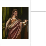 Portrait of a Lady, 1540s by Sebastiano del Piombo