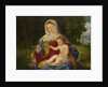 The Virgin and Child with a Shoot of Olive, ca 1515 by Andrea Previtali