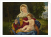 The Virgin and Child with a Shoot of Olive, ca 1515 by Andrea Previtali