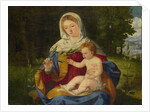 The Virgin and Child with a Shoot of Olive, ca 1515 by Andrea Previtali