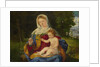 The Virgin and Child with a Shoot of Olive, ca 1515 by Andrea Previtali