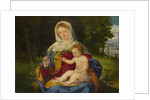 The Virgin and Child with a Shoot of Olive, ca 1515 by Andrea Previtali