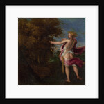 Arcas Hunting, c. 1550 by Andrea Schiavone