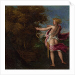 Arcas Hunting, c. 1550 by Andrea Schiavone