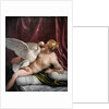 Leda and the Swan by Paolo Veronese
