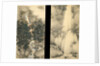 Waterfall in Spring and Autumn (Set of two hanging scrolls), 1893 by Kishi Chikudo