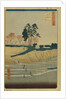 Palace Hill in Shinagawa by Utagawa Hiroshige