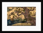 Cypress Tree (Eight folded screen), 1590 by Kano Eitoku