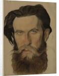 Portrait of Otto Y. Schmidt, 1921-1922 by Nikolai Andreevich Andreev