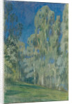 Birches at Midday, 1903 by Viktor Elpidiforovich Borisov-Musatov