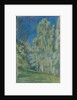 Birches at Midday, 1903 by Viktor Elpidiforovich Borisov-Musatov