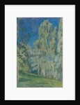 Birches at Midday, 1903 by Viktor Elpidiforovich Borisov-Musatov