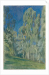 Birches at Midday, 1903 by Viktor Elpidiforovich Borisov-Musatov