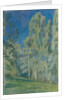 Birches at Midday, 1903 by Viktor Elpidiforovich Borisov-Musatov