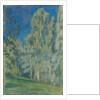 Birches at Midday, 1903 by Viktor Elpidiforovich Borisov-Musatov