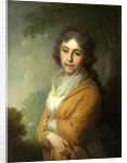 Portrait of Countess Natalia Ivanovna Kurakina, 1795 by Vladimir Lukich Borovikovsky