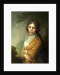 Portrait of Countess Natalia Ivanovna Kurakina, 1795 by Vladimir Lukich Borovikovsky