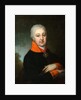 Portrait of Nikolai Mikhailovich Yakovlev, 1802 by Vladimir Lukich Borovikovsky