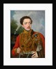 Portrait of Pavel Semyonovich Masyukov, 1817 by Vladimir Lukich Borovikovsky