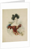 Portrait of Princess Natalia Viktorovna Kochubey, née Kochubey, 1830s by Alexander Pavlovich Briullov