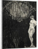 Venus, 1907 by Nikolai Petrovich Feofilaktov