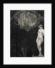 Venus, 1907 by Nikolai Petrovich Feofilaktov