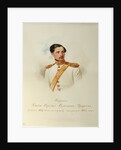 Portrait of Count Sergei Semyonovich Urusov by Vladimir Ivanovich Hau