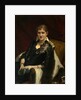 Portrait of Y.A. Voeykova, 1882 by Ivan Nikolayevich Kramskoi