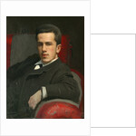 Portrait of Anatoly Kramskoy, the Artists Son, 1882 by Ivan Nikolayevich Kramskoi