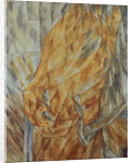Horse Head, 1912 by Mikhail Vasilyevich Le Dantyu