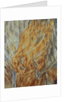 Horse Head, 1912 by Mikhail Vasilyevich Le Dantyu