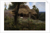 Old mill, 1893 by Vasili Dmitrievich Polenov