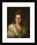 Portrait of Countess Anna Alexandrovna Golitsyna, née Baroness Stroganova, 1777 by Fyodor Stepanovich Rokotov