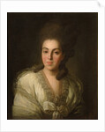 Portrait of Countess Anna Alexandrovna Golitsyna, née Baroness Stroganova, 1777 by Fyodor Stepanovich Rokotov