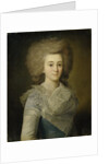 Portrait of Elisaveta Alexandrovna Stroganova, 1770s by Anonymous
